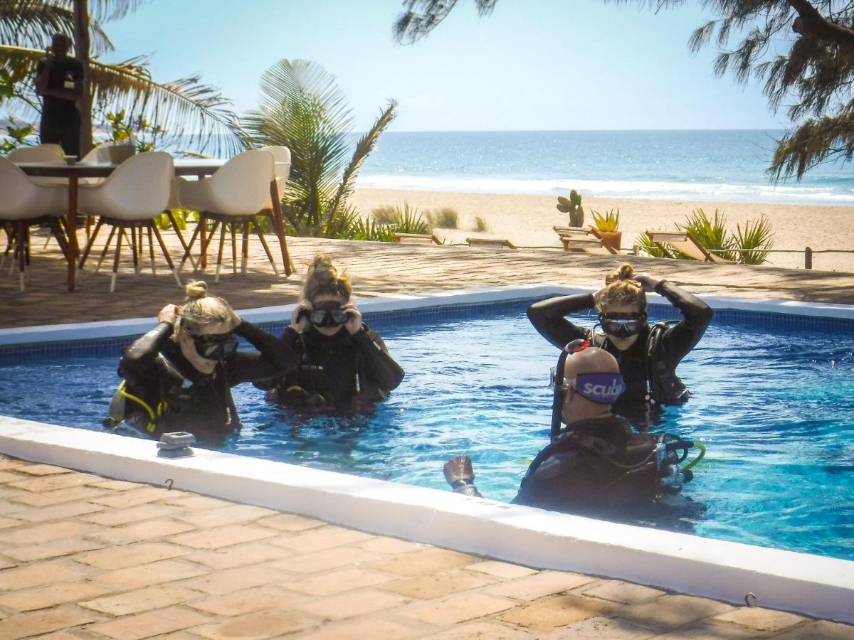 Liquid Dive Adventures Bed & Breakfast Praia do Praia do Tofo Eksteriør bilde