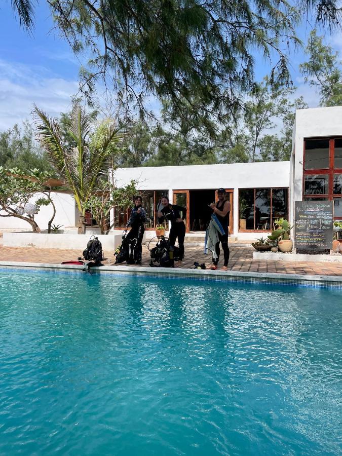 Liquid Dive Adventures Bed & Breakfast Praia do Praia do Tofo Eksteriør bilde