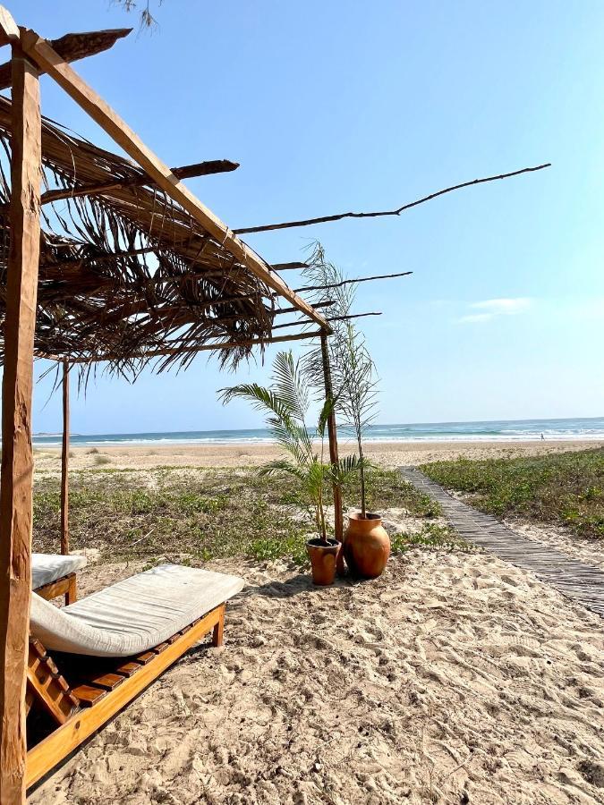 Liquid Dive Adventures Bed & Breakfast Praia do Praia do Tofo Eksteriør bilde