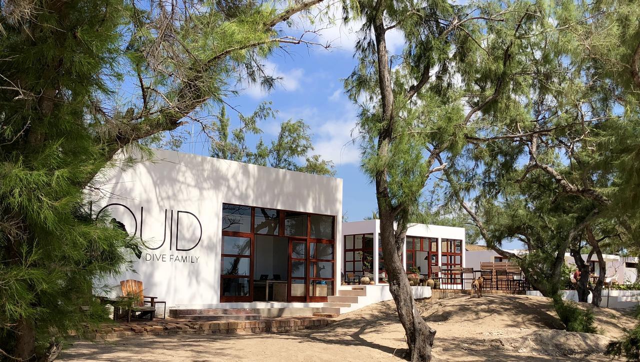 Liquid Dive Adventures Bed & Breakfast Praia do Praia do Tofo Eksteriør bilde