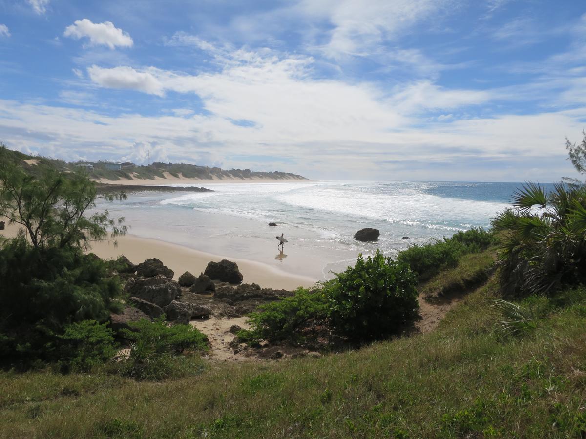 Liquid Dive Adventures Bed & Breakfast Praia do Praia do Tofo Eksteriør bilde